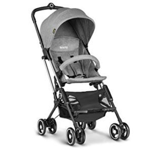 The 25 Best Infant Strollers of 2020 - Family Living Today